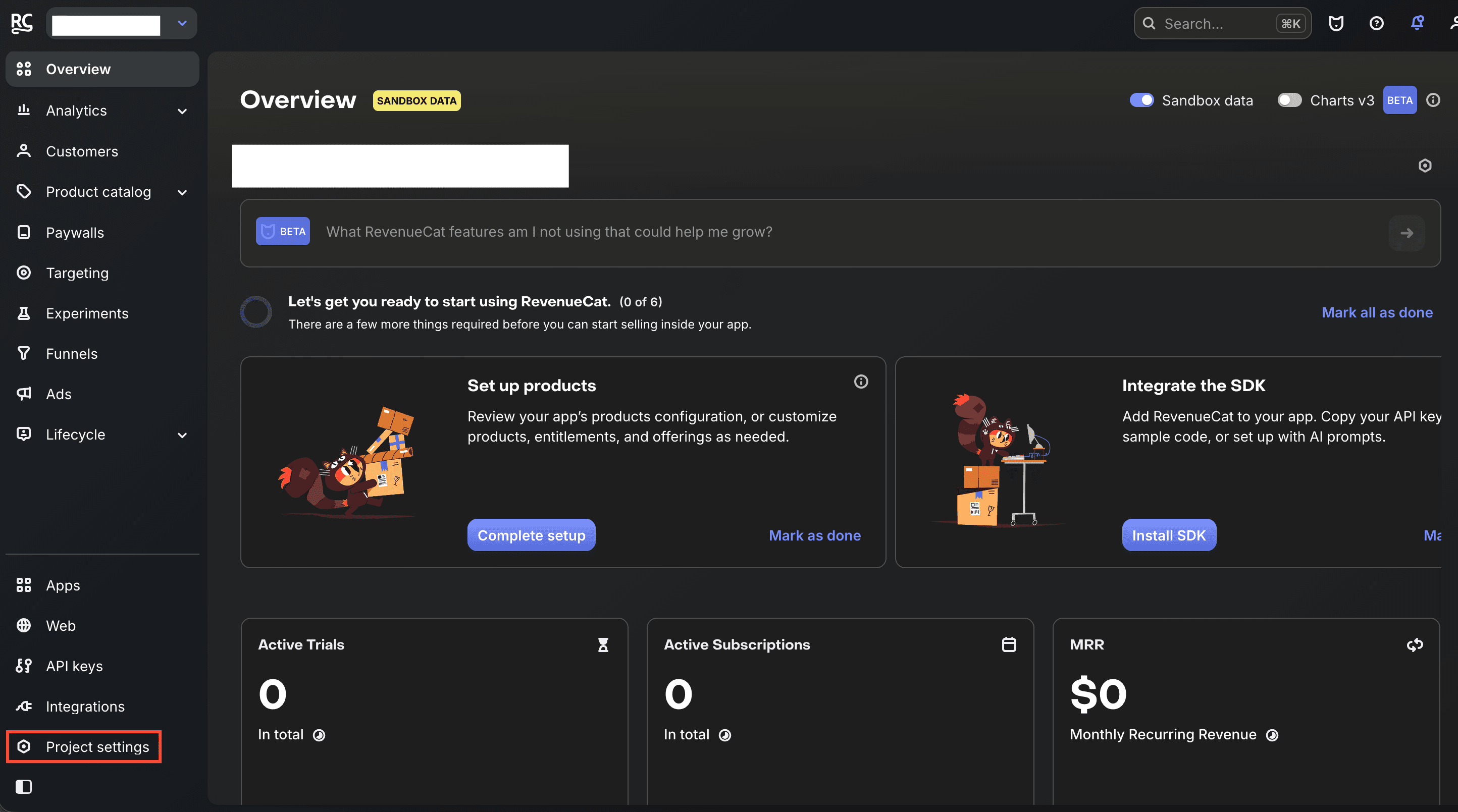 RevenueCat overview with Project settings